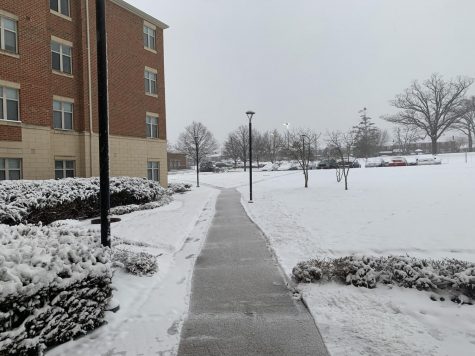 Snowfall outside of the Morgan View apartment complex.