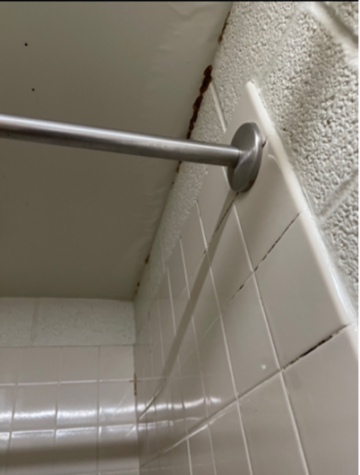 Blount resident Mizan Denatien shared photos of the cleanliness conditions in the communal showers.