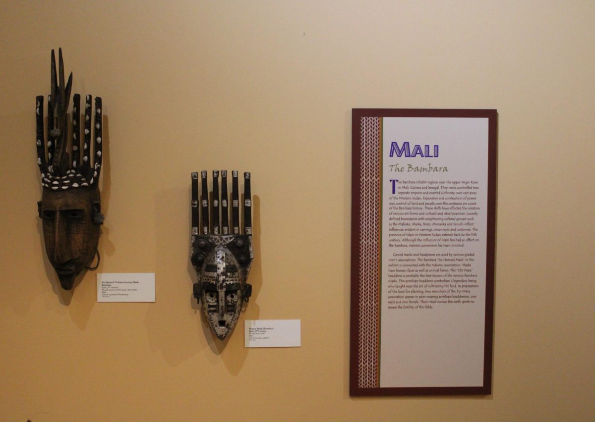 African Sculptures Exhibit (Mali) (2)
