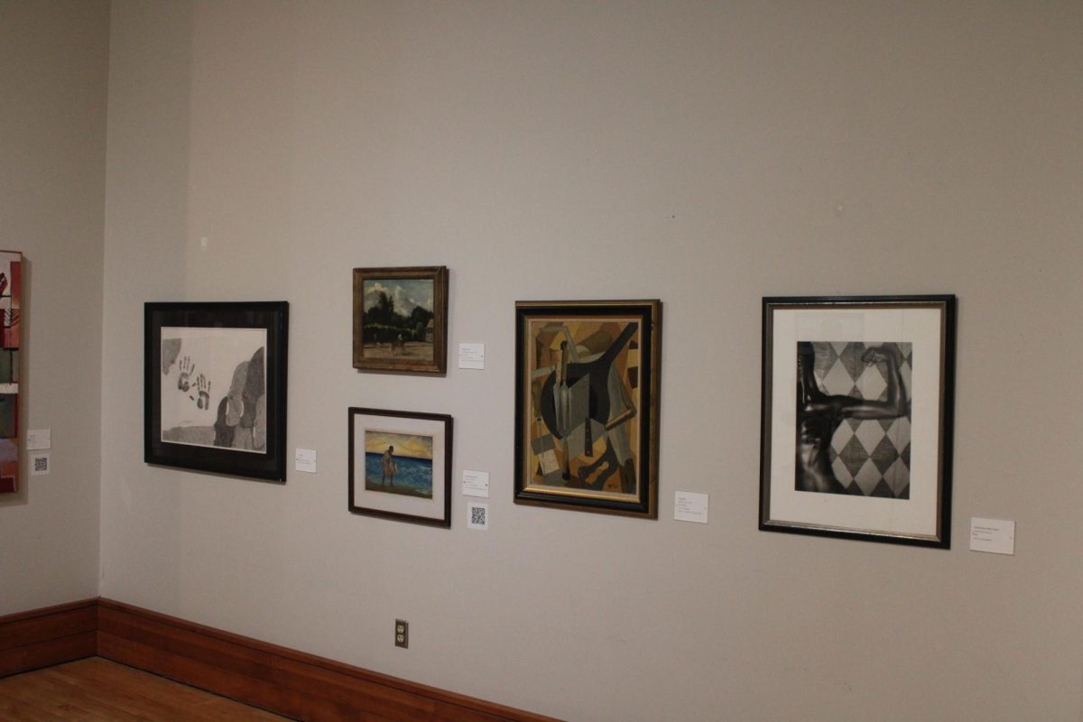 Art Exhibit Display (3)