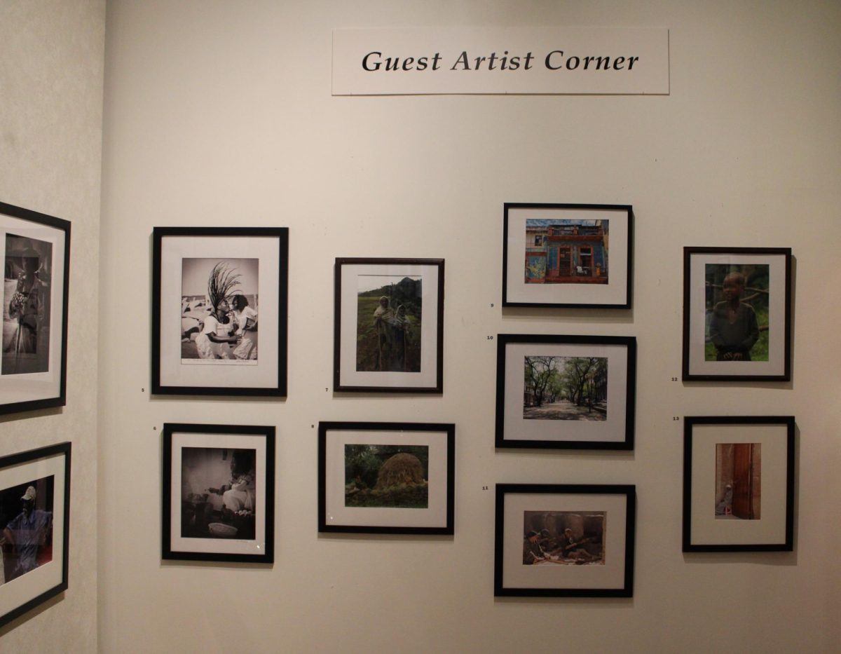 Guest Artist Corner Display