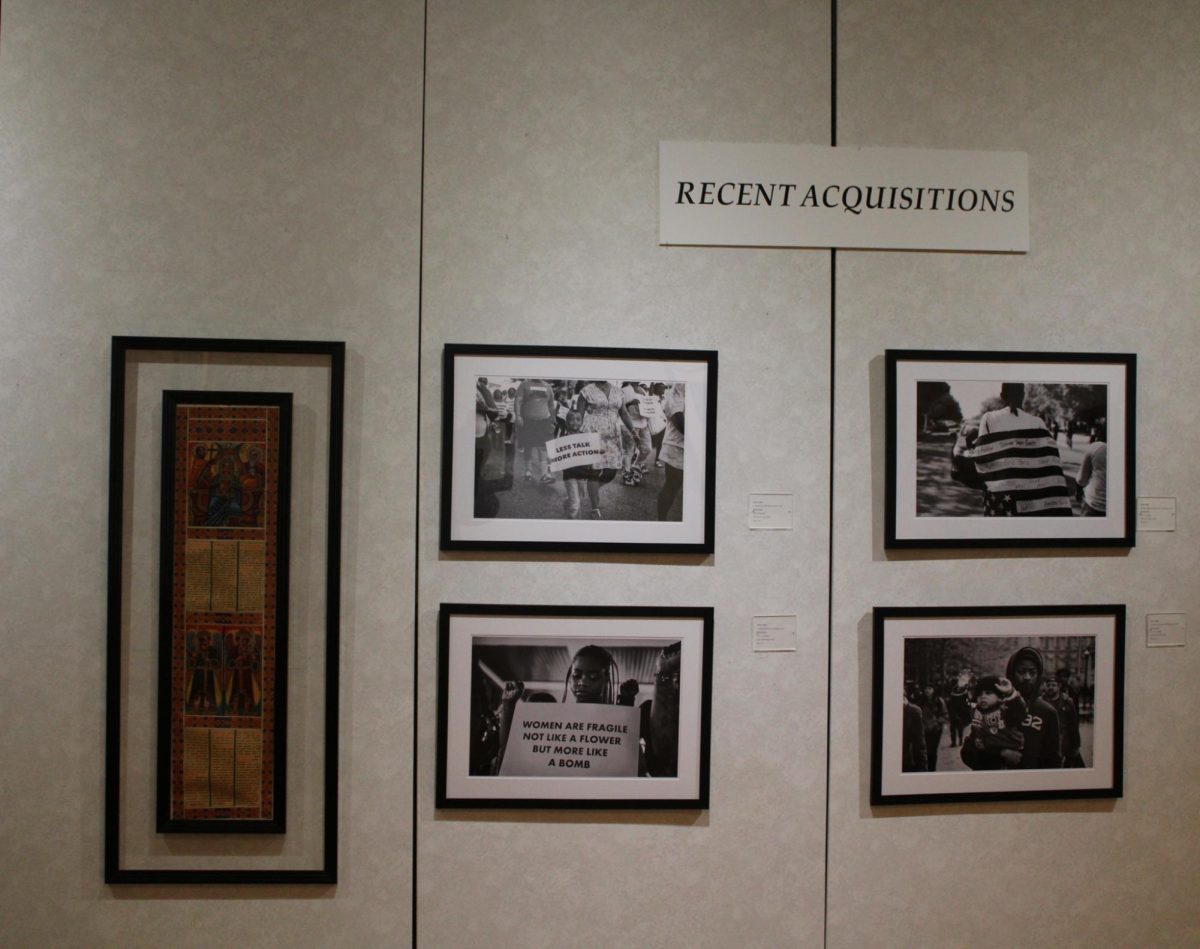 Recent Aquistions Display