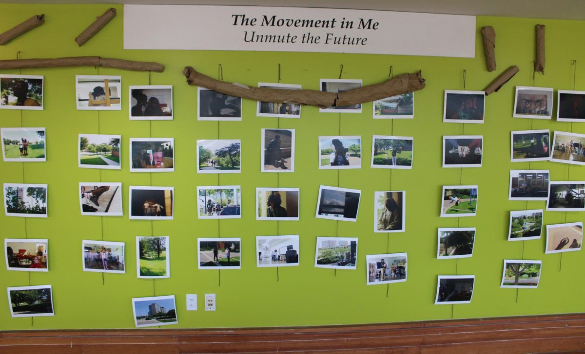 The Movement In Me Gallery Display